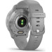 Garmin Venu 2 Plus Silver Stainless Steel Bezel with Powder Gray Case and Silicone Band