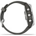 Garmin fenix 7S Standart Edition Silver with Graphite Band