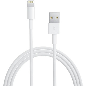 Apple Lightning /USB Datový Kabel 1m White (EU Blister)