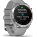 Garmin Approach S40 Stainless Steel with Powder Grey Band (Eco Box)