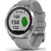 Garmin Approach S40 Stainless Steel with Powder Grey Band (Eco Box)